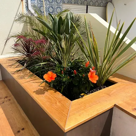 Appartement Terrace *